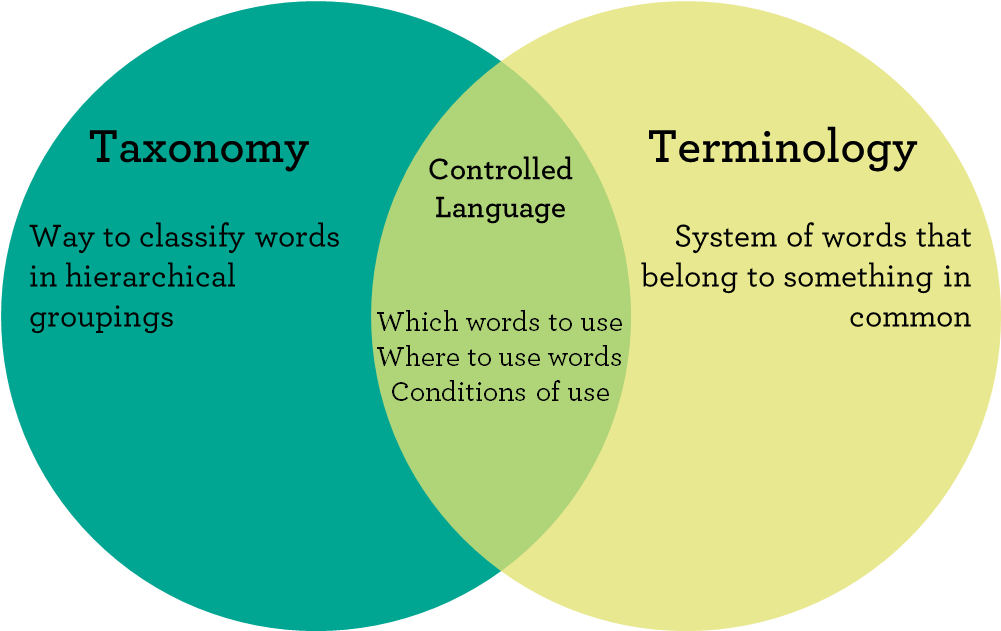 taxonomy-terminology